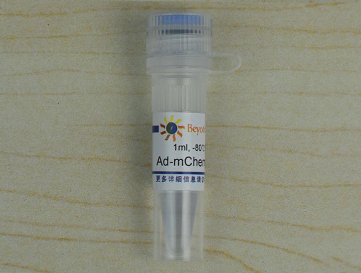 Ad-mCherry-GFP-LC3B